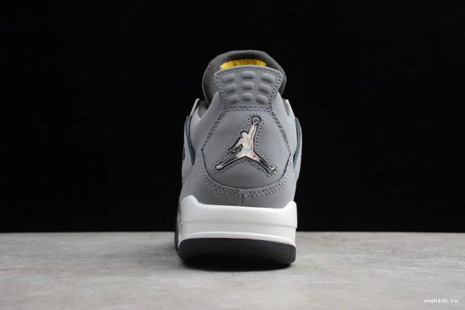 Chep Onekick 4 Cool 308497-007 (2019) Air Retro Jordan Grey 0725